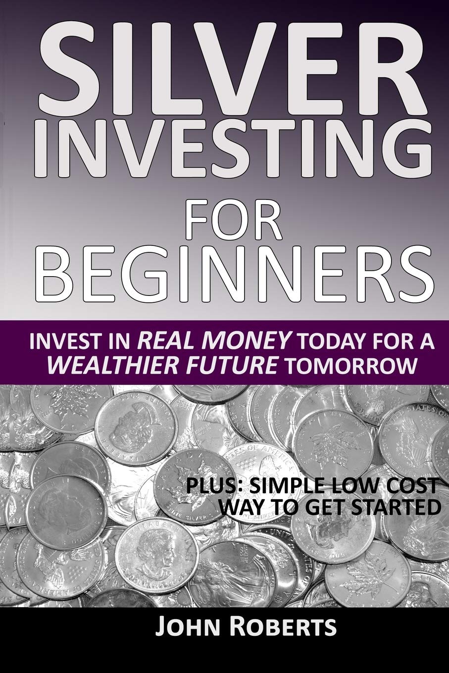 'A Beginner’s Guide to Building Wealth With Silver'